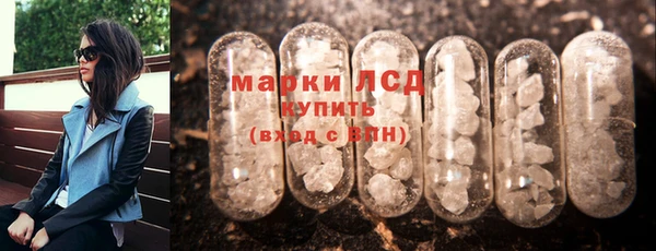 СК Володарск