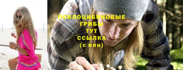 СК Володарск